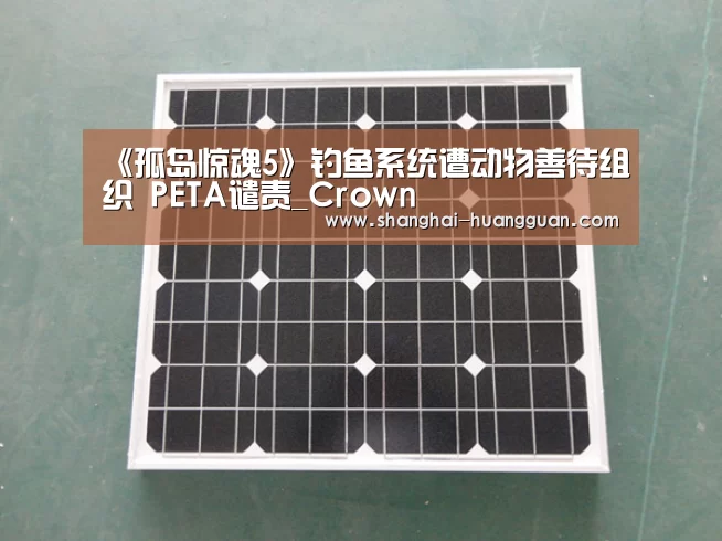 《孤岛惊魂5》钓鱼系统遭动物善待组织 PETA谴责_Crown(图3)